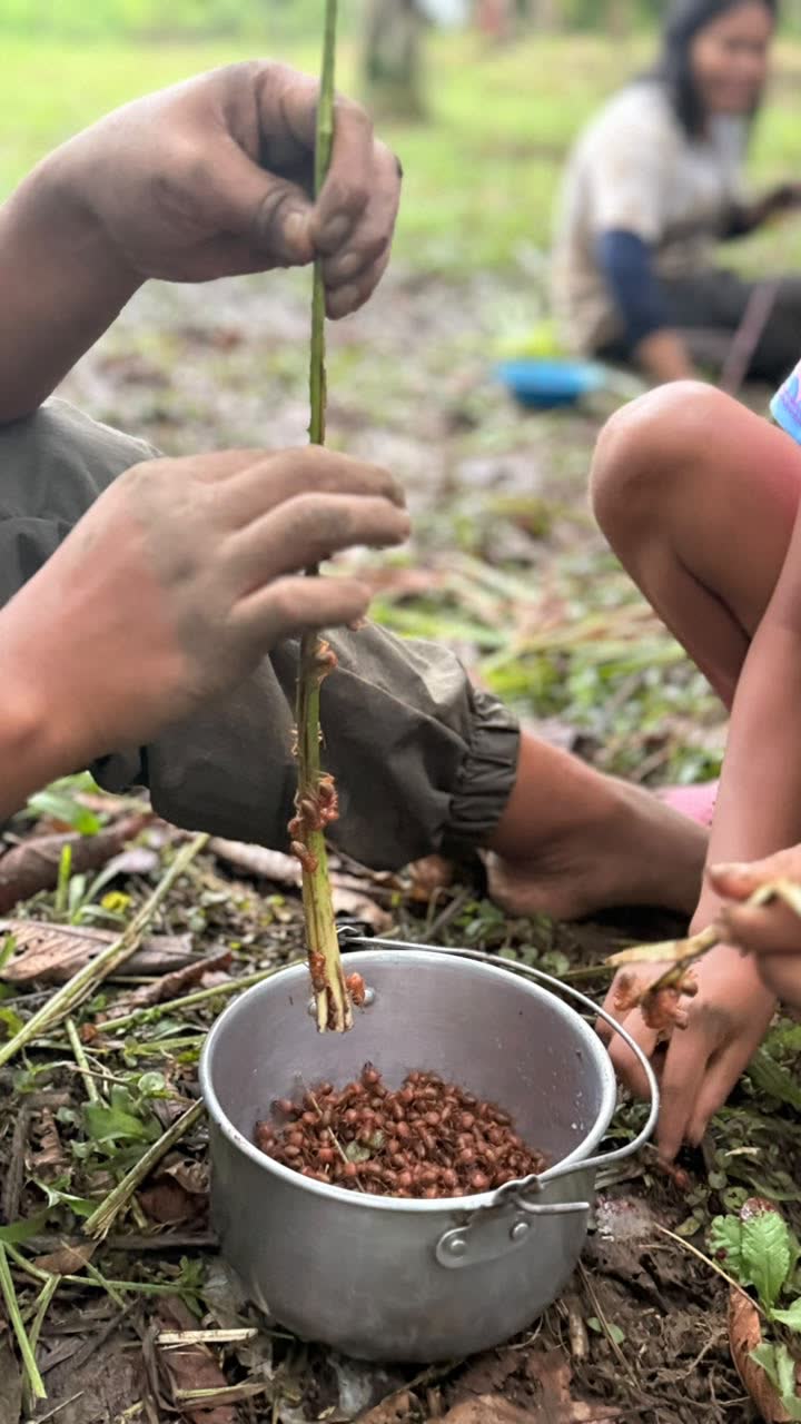 Manos recogiendo mojojoy de un tallo de palma sobre una olla