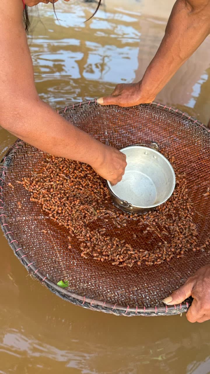 Manos lavando la cosecha en un canasto tejido dentro del río